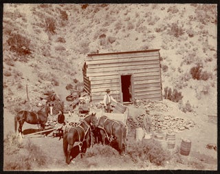 [Archive of photographs of the Oasis Ranch in Mono County, California and vicinity, with related family photos.]  