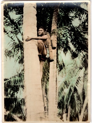 [A U.S. Army officer&rsquo;s diary and assemblage of photographs documenting his experiences during the Moro Rebellion.]