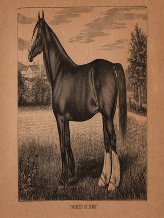 Catalogue of Clydesdale Horses, Property of J. & C. Huston, Importers and Breeders, Blandinsville, Ill.
