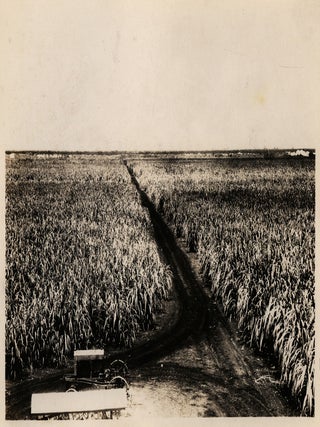 The Southern Sugar Company.