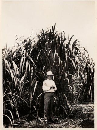 The Southern Sugar Company.