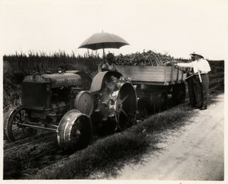 The Southern Sugar Company.