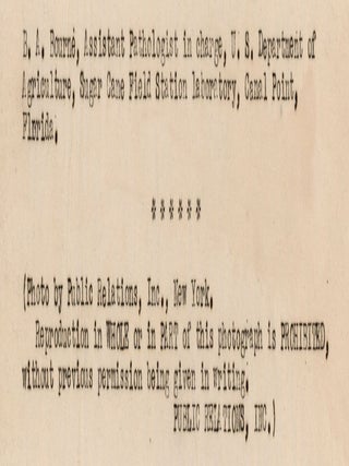 The Southern Sugar Company.