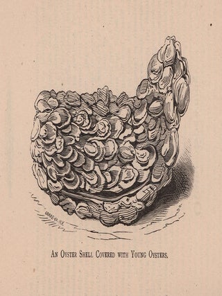 An Essay on the Oyster Industry of the United States.