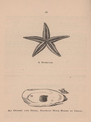 An Essay on the Oyster Industry of the United States.