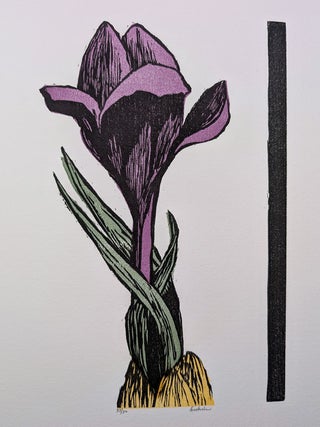The Gehenna Florilegium : Poems by Anthony Hecht : Woodcuts by Leonard Baskin.