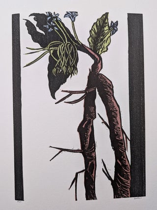 The Gehenna Florilegium : Poems by Anthony Hecht : Woodcuts by Leonard Baskin.